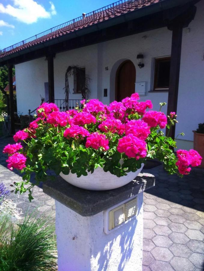 Haus Saentisblick Apartamento Eriskirch Exterior foto
